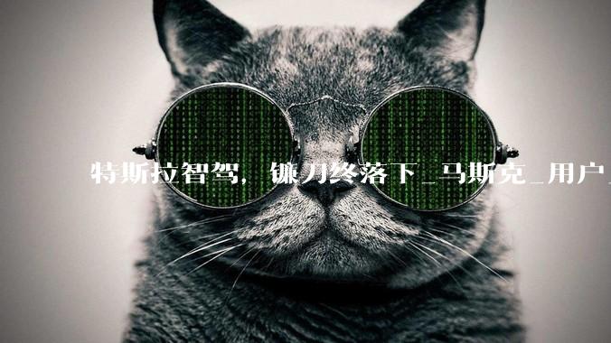 特斯拉智驾，镰刀终落下_马斯克_用户_北美