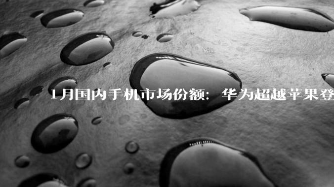 1月国内手机市场份额：华为超越苹果登顶，Mate80系列销量超250万_排名第一_小米_鸿蒙