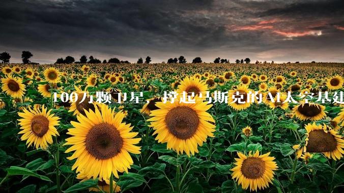 100万颗卫星，撑起马斯克的AI太空基建梦_SpaceX_通信_轨道