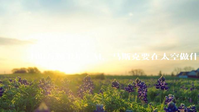 100万颗卫星+AI，马斯克要在太空做什么_部署_近地轨道_SpaceX