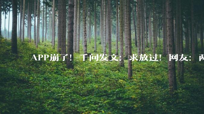 APP崩了！千问发文：求放过！网友：两天了还没能下单_奶茶店_用户_大厂