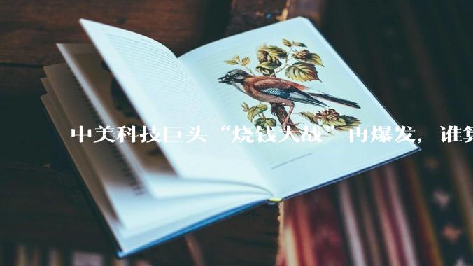 中美科技巨头“烧钱大战”再爆发，谁算清了AI投资的账？_市场_资本开支_补贴