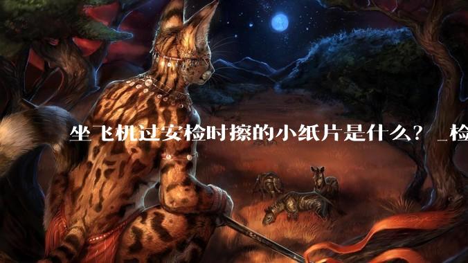 坐飞机过安检时擦的小纸片是什么？_检测_爆炸物_人员