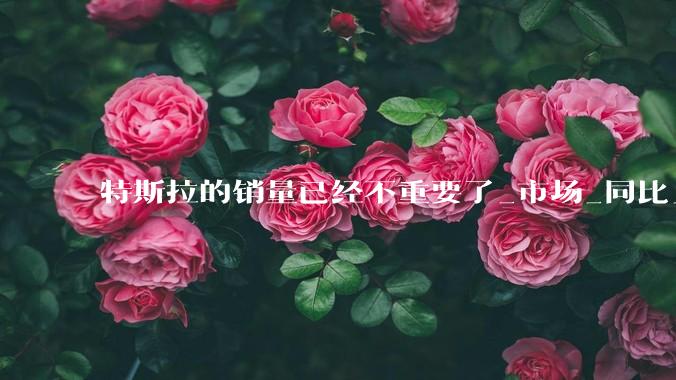 特斯拉的销量已经不重要了_市场_同比_马斯克