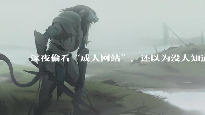 深夜偷看“成人网站”，还以为没人知道？你可能被安排得明明白白_内容_用户_访问