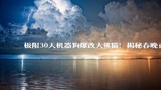 极限30天机器狗爆改大熊猫！揭秘春晚百台级机器人群控演出_动作_舞台_协同