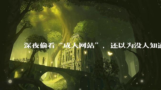 深夜偷看“成人网站”，还以为没人知道？你可能被安排得明明白白_内容_用户_监管