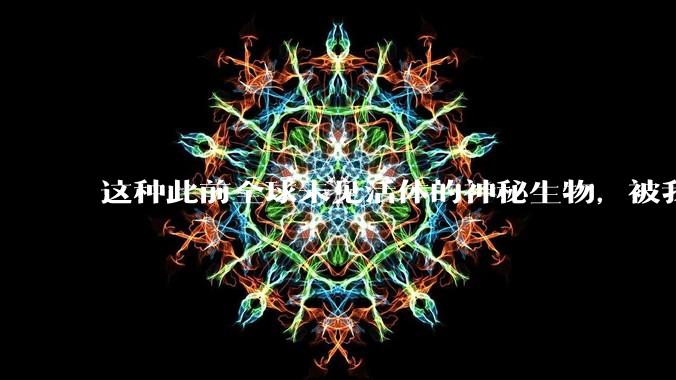 这种此前全球未见活体的神秘生物，被我们在中国南海发现了_动物_研究生_抹香鲸