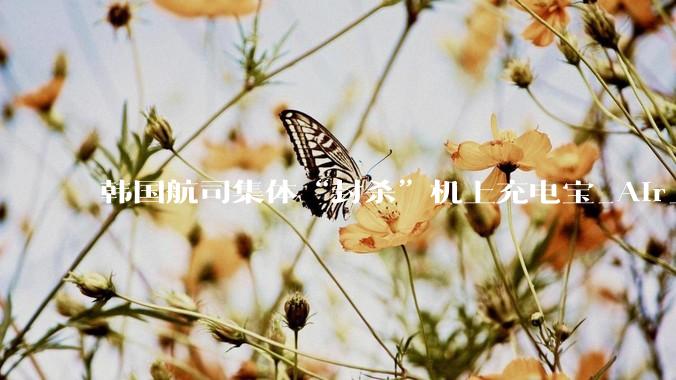 韩国航司集体“封杀”机上充电宝_Air_航空公司_移动电源