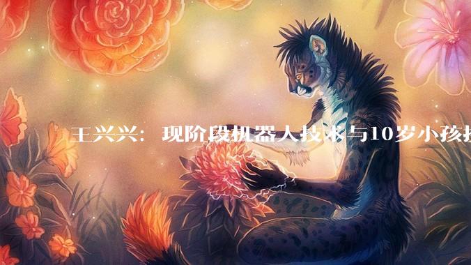 王兴兴：现阶段机器人技术与10岁小孩接近 大规模应用还需时间_宇树_科技_卫诗