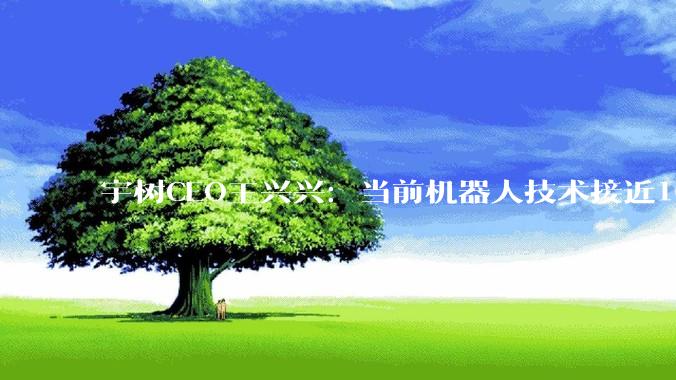 宇树CEO王兴兴：当前机器人技术接近10岁孩子水平，大规模应用或需3至5年，最长不超10年_醉拳_科技_节目